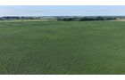 Property photo 15 - PREMIER OHIO LAND AUCTION - 377+/-ACRES OFFERED IN 5 TRACTS IN WYANDOT COUNTY, OHIO