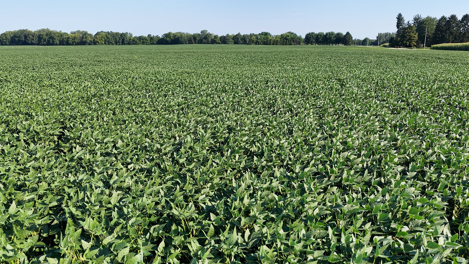 Property photo 16 - PREMIER OHIO LAND AUCTION - 377+/-ACRES OFFERED IN 5 TRACTS IN WYANDOT COUNTY, OHIO