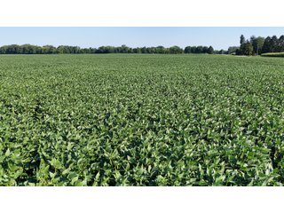Property photo 36 - PREMIER OHIO LAND AUCTION - 377+/-ACRES OFFERED IN 5 TRACTS IN WYANDOT COUNTY, OHIO