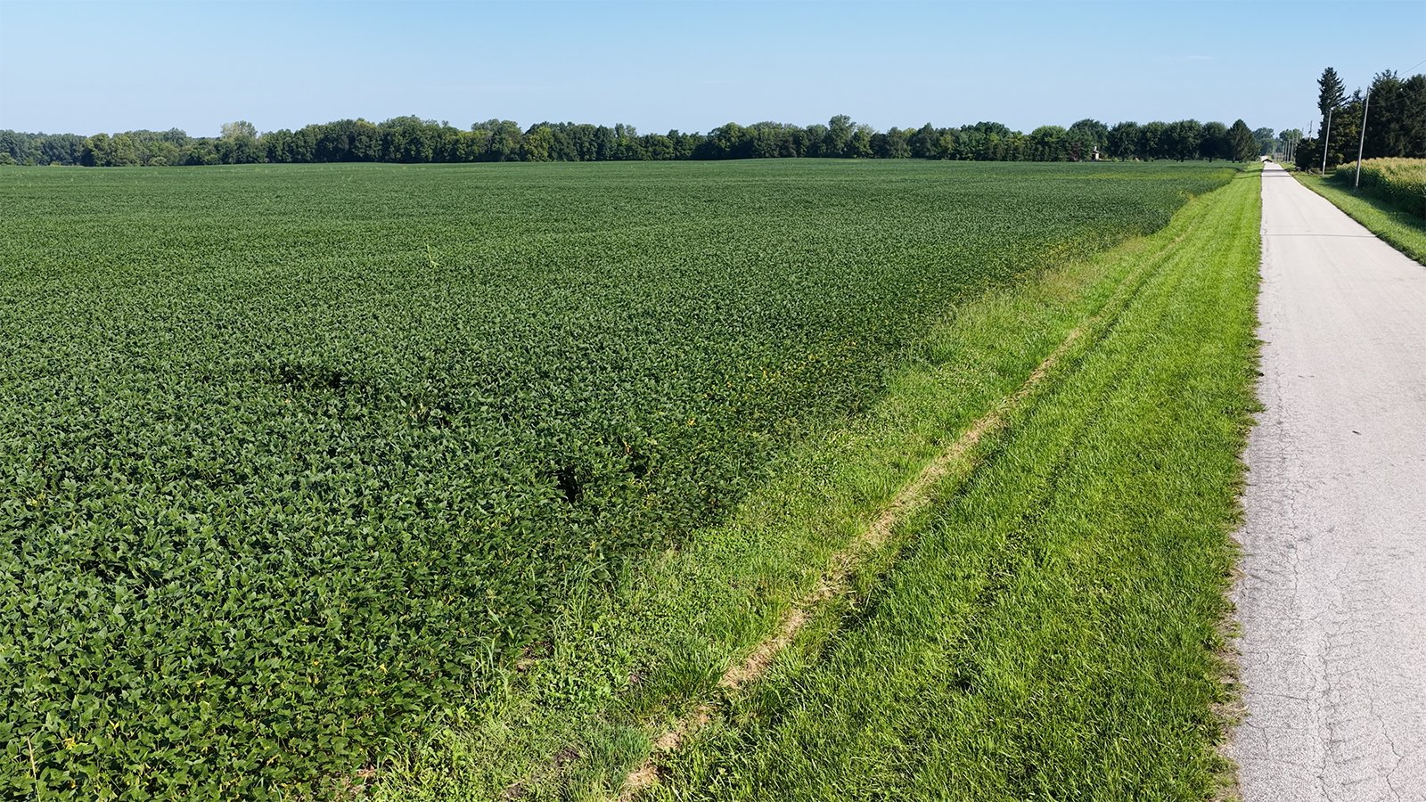 Property photo 35 - PREMIER OHIO LAND AUCTION - 377+/-ACRES OFFERED IN 5 TRACTS IN WYANDOT COUNTY, OHIO