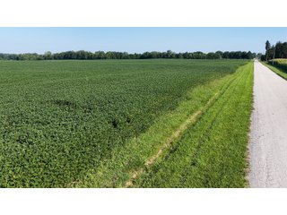 Property photo 37 - PREMIER OHIO LAND AUCTION - 377+/-ACRES OFFERED IN 5 TRACTS IN WYANDOT COUNTY, OHIO