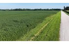 Property photo 35 - PREMIER OHIO LAND AUCTION - 377+/-ACRES OFFERED IN 5 TRACTS IN WYANDOT COUNTY, OHIO