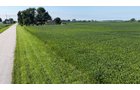 Property photo 34 - PREMIER OHIO LAND AUCTION - 377+/-ACRES OFFERED IN 5 TRACTS IN WYANDOT COUNTY, OHIO