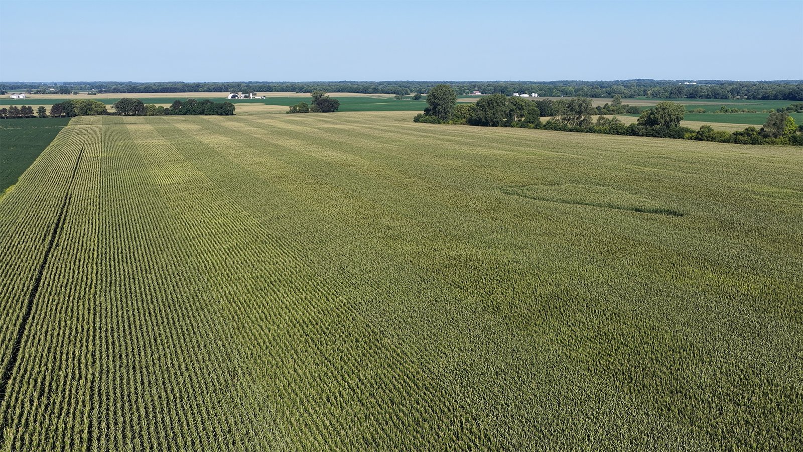 Property photo 17 - PREMIER OHIO LAND AUCTION - 377+/-ACRES OFFERED IN 5 TRACTS IN WYANDOT COUNTY, OHIO