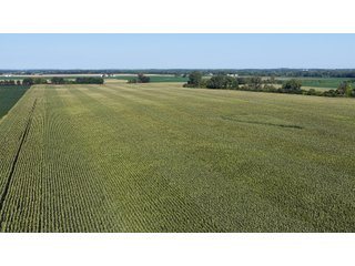 Property photo 15 - PREMIER OHIO LAND AUCTION - 377+/-ACRES OFFERED IN 5 TRACTS IN WYANDOT COUNTY, OHIO