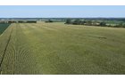 Property photo 17 - PREMIER OHIO LAND AUCTION - 377+/-ACRES OFFERED IN 5 TRACTS IN WYANDOT COUNTY, OHIO