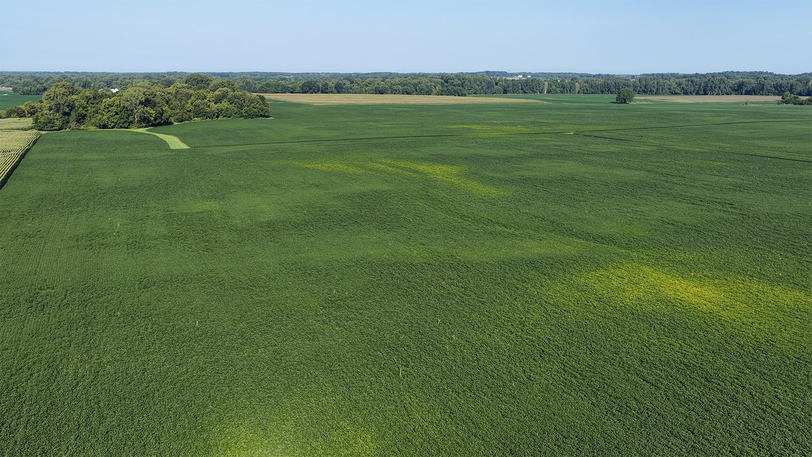Property photo 18 - PREMIER OHIO LAND AUCTION - 377+/-ACRES OFFERED IN 5 TRACTS IN WYANDOT COUNTY, OHIO