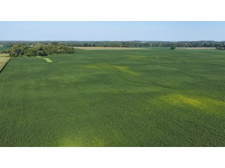 Property photo 25 - PREMIER OHIO LAND AUCTION - 377+/-ACRES OFFERED IN 5 TRACTS IN WYANDOT COUNTY, OHIO