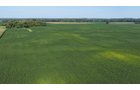 Property photo 18 - PREMIER OHIO LAND AUCTION - 377+/-ACRES OFFERED IN 5 TRACTS IN WYANDOT COUNTY, OHIO