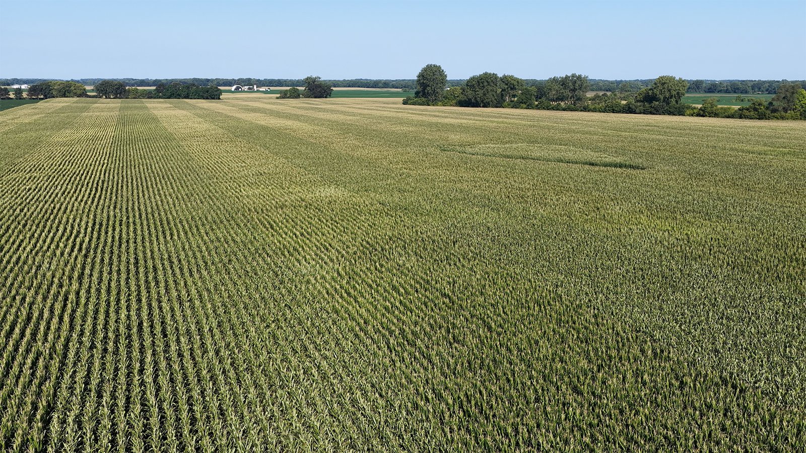 Property photo 19 - PREMIER OHIO LAND AUCTION - 377+/-ACRES OFFERED IN 5 TRACTS IN WYANDOT COUNTY, OHIO