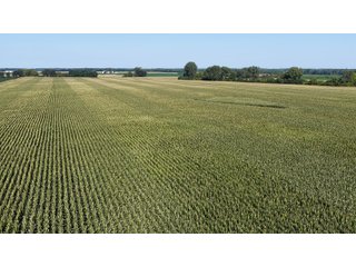 Property photo 17 - PREMIER OHIO LAND AUCTION - 377+/-ACRES OFFERED IN 5 TRACTS IN WYANDOT COUNTY, OHIO