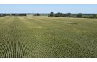 Property photo 19 - PREMIER OHIO LAND AUCTION - 377+/-ACRES OFFERED IN 5 TRACTS IN WYANDOT COUNTY, OHIO