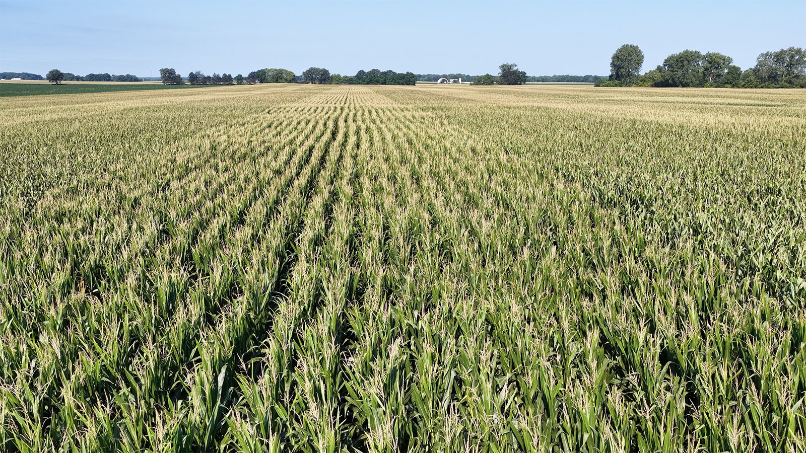 Property photo 29 - PREMIER OHIO LAND AUCTION - 377+/-ACRES OFFERED IN 5 TRACTS IN WYANDOT COUNTY, OHIO