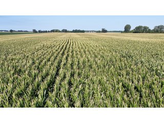 Property photo 18 - PREMIER OHIO LAND AUCTION - 377+/-ACRES OFFERED IN 5 TRACTS IN WYANDOT COUNTY, OHIO