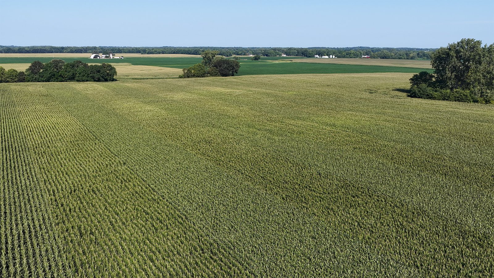Property photo 13 - PREMIER OHIO LAND AUCTION - 377+/-ACRES OFFERED IN 5 TRACTS IN WYANDOT COUNTY, OHIO