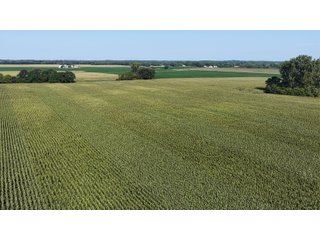 Property photo 19 - PREMIER OHIO LAND AUCTION - 377+/-ACRES OFFERED IN 5 TRACTS IN WYANDOT COUNTY, OHIO