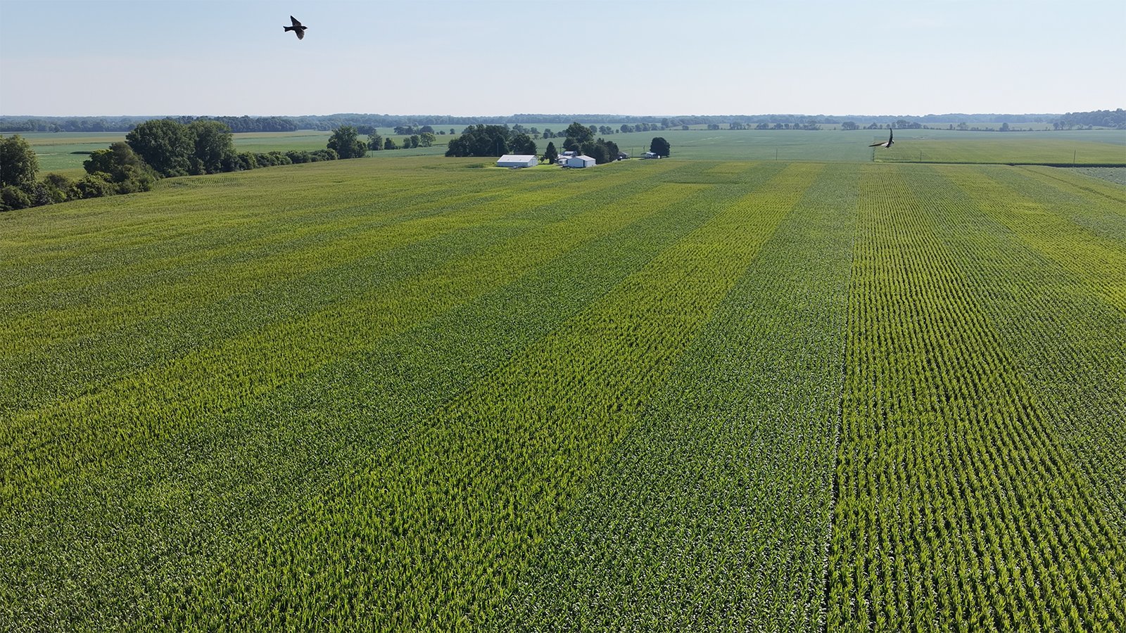 Property photo 12 - PREMIER OHIO LAND AUCTION - 377+/-ACRES OFFERED IN 5 TRACTS IN WYANDOT COUNTY, OHIO