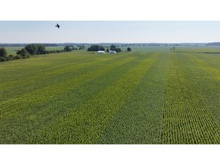 Property photo 20 - PREMIER OHIO LAND AUCTION - 377+/-ACRES OFFERED IN 5 TRACTS IN WYANDOT COUNTY, OHIO
