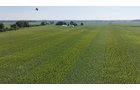 Property photo 12 - PREMIER OHIO LAND AUCTION - 377+/-ACRES OFFERED IN 5 TRACTS IN WYANDOT COUNTY, OHIO