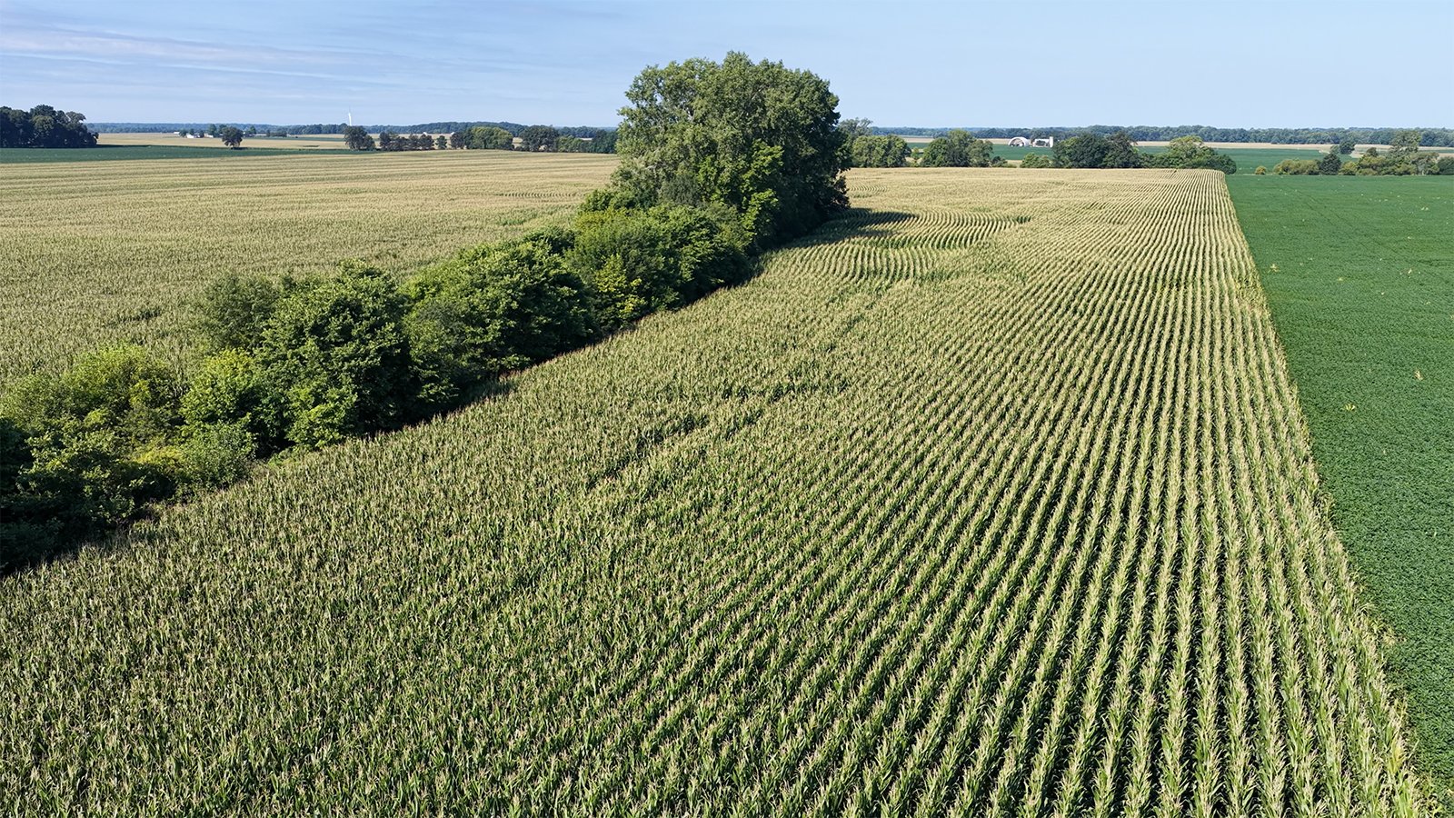 Property photo 10 - PREMIER OHIO LAND AUCTION - 377+/-ACRES OFFERED IN 5 TRACTS IN WYANDOT COUNTY, OHIO