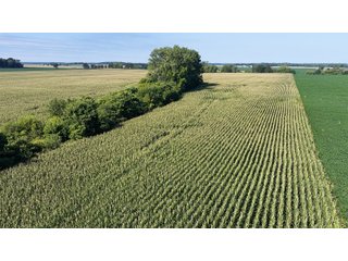 Property photo 22 - PREMIER OHIO LAND AUCTION - 377+/-ACRES OFFERED IN 5 TRACTS IN WYANDOT COUNTY, OHIO