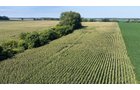 Property photo 10 - PREMIER OHIO LAND AUCTION - 377+/-ACRES OFFERED IN 5 TRACTS IN WYANDOT COUNTY, OHIO