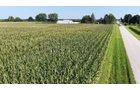 Property photo 33 - PREMIER OHIO LAND AUCTION - 377+/-ACRES OFFERED IN 5 TRACTS IN WYANDOT COUNTY, OHIO