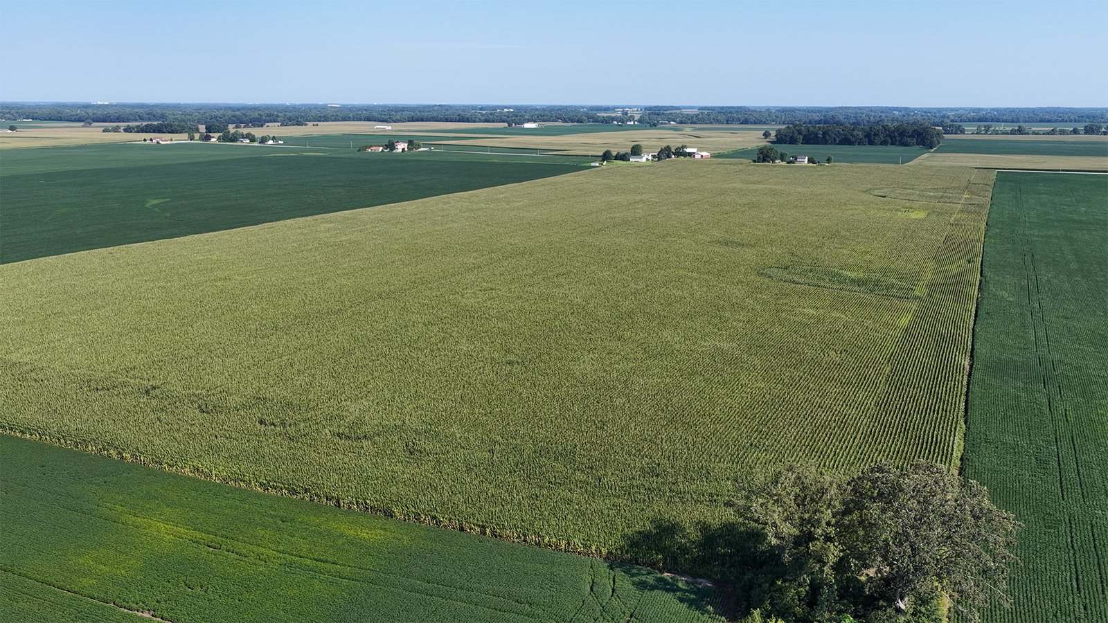 Property photo 9 - PREMIER OHIO LAND AUCTION - 377+/-ACRES OFFERED IN 5 TRACTS IN WYANDOT COUNTY, OHIO