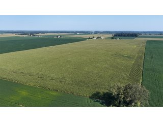 Property photo 6 - PREMIER OHIO LAND AUCTION - 377+/-ACRES OFFERED IN 5 TRACTS IN WYANDOT COUNTY, OHIO