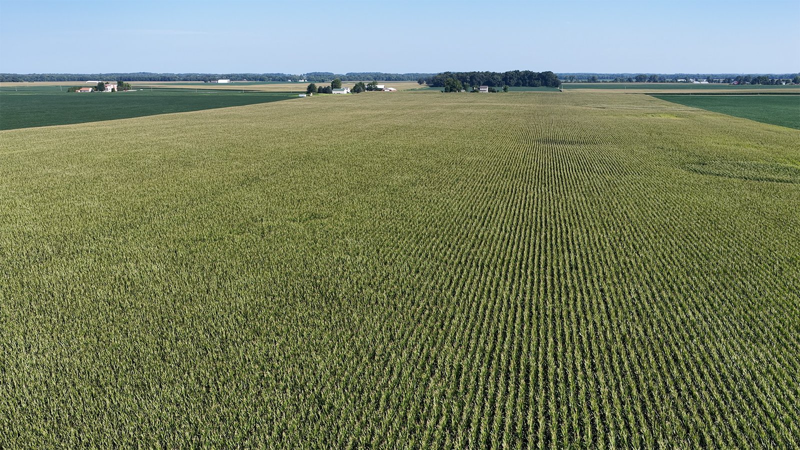 Property photo 28 - PREMIER OHIO LAND AUCTION - 377+/-ACRES OFFERED IN 5 TRACTS IN WYANDOT COUNTY, OHIO
