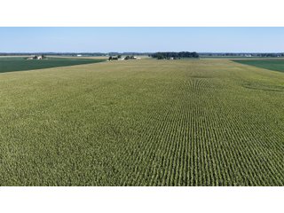 Property photo 7 - PREMIER OHIO LAND AUCTION - 377+/-ACRES OFFERED IN 5 TRACTS IN WYANDOT COUNTY, OHIO
