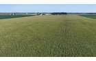 Property photo 28 - PREMIER OHIO LAND AUCTION - 377+/-ACRES OFFERED IN 5 TRACTS IN WYANDOT COUNTY, OHIO
