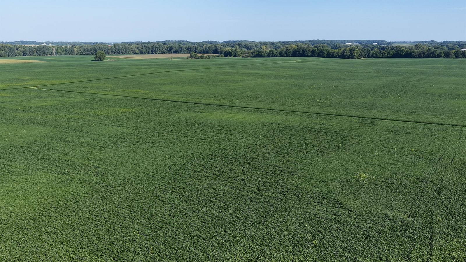 Property photo 20 - PREMIER OHIO LAND AUCTION - 377+/-ACRES OFFERED IN 5 TRACTS IN WYANDOT COUNTY, OHIO
