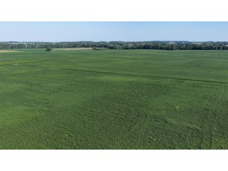 Property photo 26 - PREMIER OHIO LAND AUCTION - 377+/-ACRES OFFERED IN 5 TRACTS IN WYANDOT COUNTY, OHIO