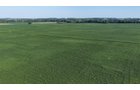 Property photo 20 - PREMIER OHIO LAND AUCTION - 377+/-ACRES OFFERED IN 5 TRACTS IN WYANDOT COUNTY, OHIO