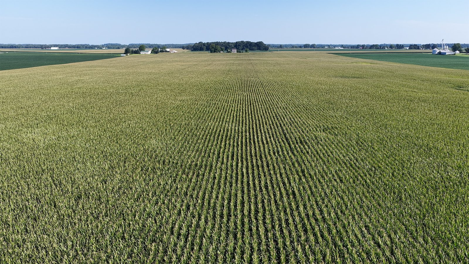 Property photo 21 - PREMIER OHIO LAND AUCTION - 377+/-ACRES OFFERED IN 5 TRACTS IN WYANDOT COUNTY, OHIO