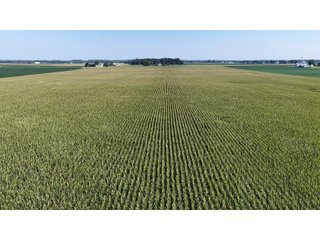 Property photo 9 - PREMIER OHIO LAND AUCTION - 377+/-ACRES OFFERED IN 5 TRACTS IN WYANDOT COUNTY, OHIO