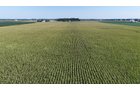 Property photo 21 - PREMIER OHIO LAND AUCTION - 377+/-ACRES OFFERED IN 5 TRACTS IN WYANDOT COUNTY, OHIO