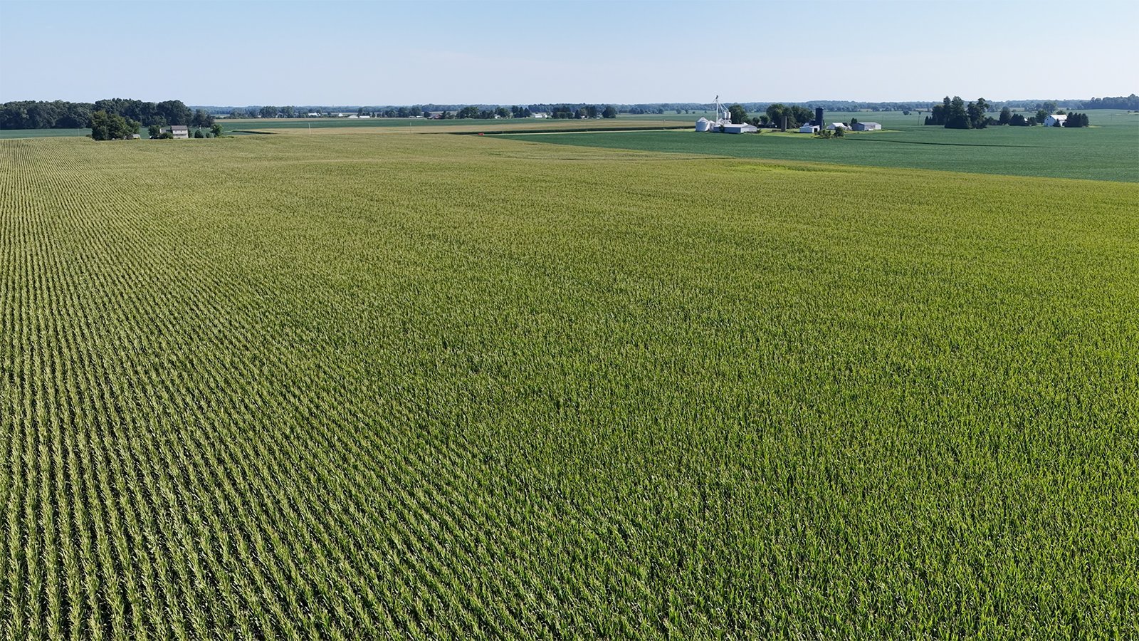 Property photo 22 - PREMIER OHIO LAND AUCTION - 377+/-ACRES OFFERED IN 5 TRACTS IN WYANDOT COUNTY, OHIO