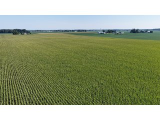 Property photo 8 - PREMIER OHIO LAND AUCTION - 377+/-ACRES OFFERED IN 5 TRACTS IN WYANDOT COUNTY, OHIO
