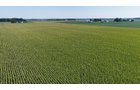 Property photo 22 - PREMIER OHIO LAND AUCTION - 377+/-ACRES OFFERED IN 5 TRACTS IN WYANDOT COUNTY, OHIO