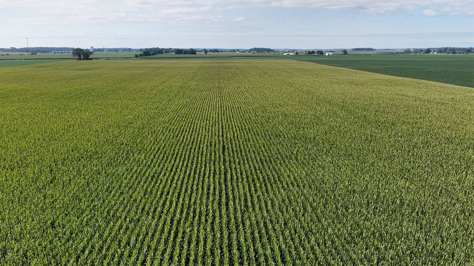 Property photo 23 - PREMIER OHIO LAND AUCTION - 377+/-ACRES OFFERED IN 5 TRACTS IN WYANDOT COUNTY, OHIO