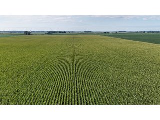 Property photo 10 - PREMIER OHIO LAND AUCTION - 377+/-ACRES OFFERED IN 5 TRACTS IN WYANDOT COUNTY, OHIO