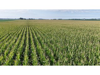 Property photo 11 - PREMIER OHIO LAND AUCTION - 377+/-ACRES OFFERED IN 5 TRACTS IN WYANDOT COUNTY, OHIO