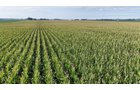 Property photo 24 - PREMIER OHIO LAND AUCTION - 377+/-ACRES OFFERED IN 5 TRACTS IN WYANDOT COUNTY, OHIO