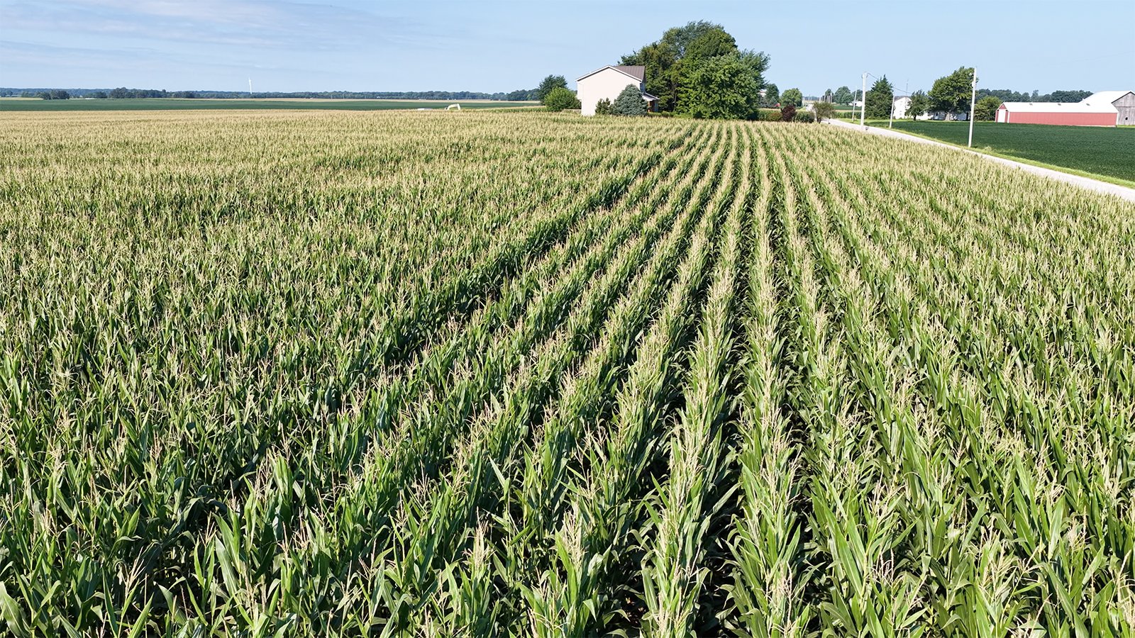 Property photo 25 - PREMIER OHIO LAND AUCTION - 377+/-ACRES OFFERED IN 5 TRACTS IN WYANDOT COUNTY, OHIO