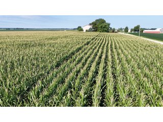 Property photo 12 - PREMIER OHIO LAND AUCTION - 377+/-ACRES OFFERED IN 5 TRACTS IN WYANDOT COUNTY, OHIO