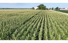 Property photo 25 - PREMIER OHIO LAND AUCTION - 377+/-ACRES OFFERED IN 5 TRACTS IN WYANDOT COUNTY, OHIO