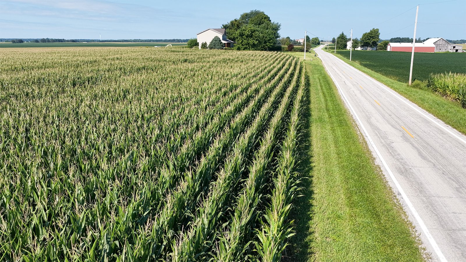 Property photo 32 - PREMIER OHIO LAND AUCTION - 377+/-ACRES OFFERED IN 5 TRACTS IN WYANDOT COUNTY, OHIO