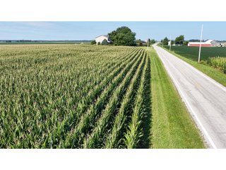 Property photo 13 - PREMIER OHIO LAND AUCTION - 377+/-ACRES OFFERED IN 5 TRACTS IN WYANDOT COUNTY, OHIO